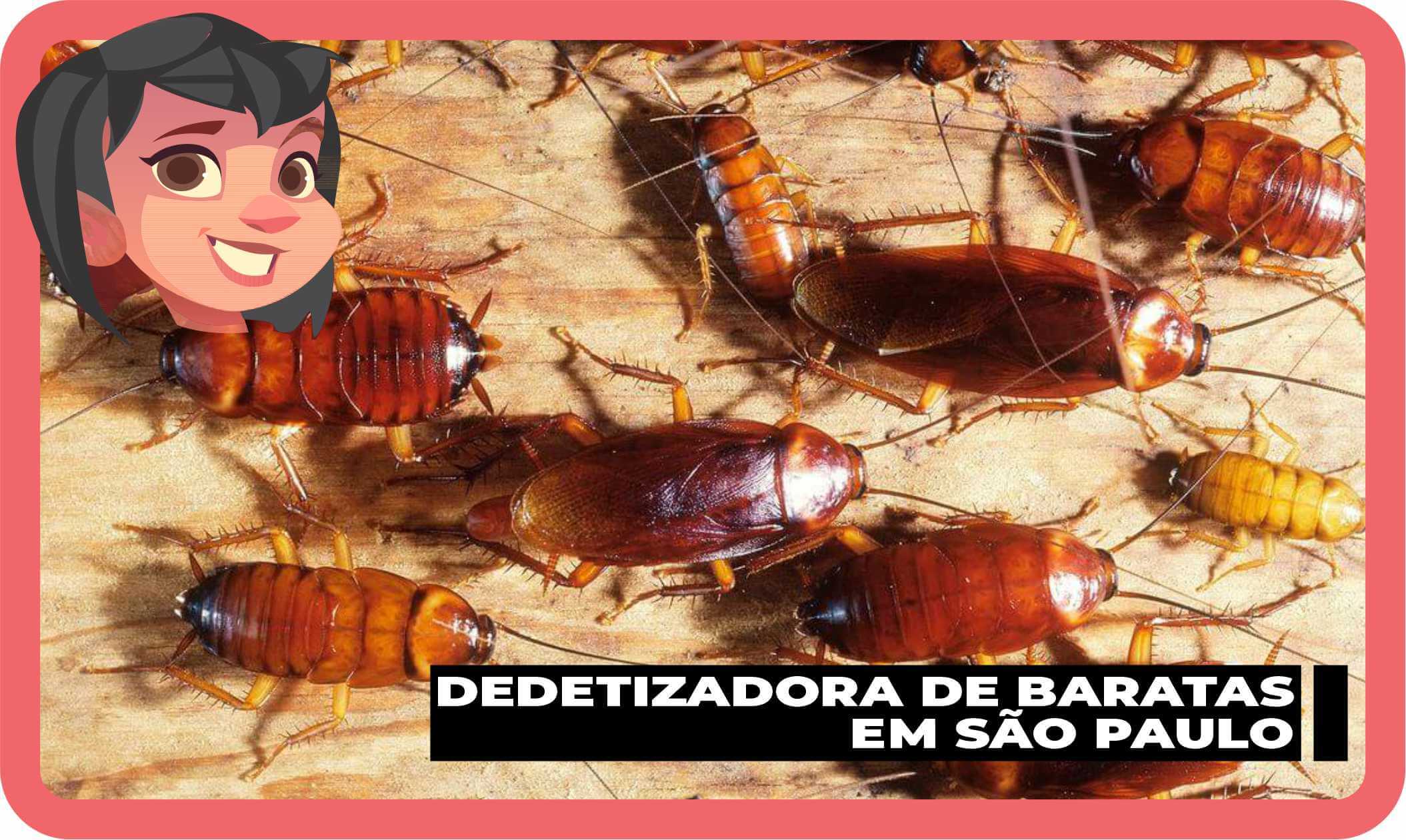 Dedetização de baratas em São Paulo