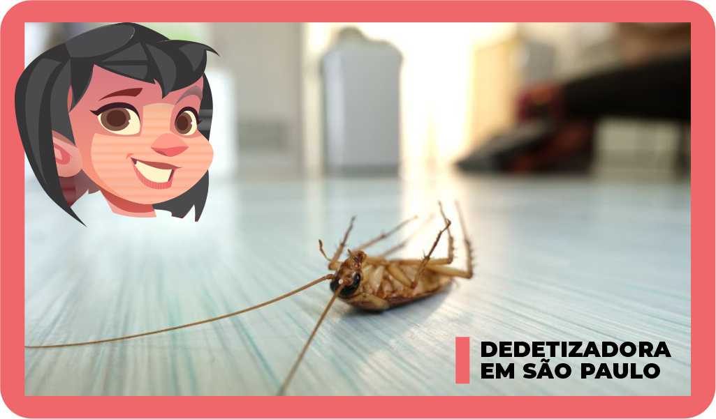 Dedetização de baratas em São Paulo