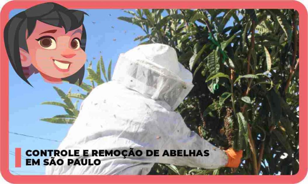 Controle e remoção de abelhas em São Paulo